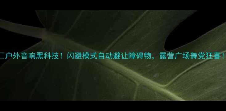 图片 🔥户外音响黑科技！闪避模式自动避让障碍物，露营广场舞党狂喜！