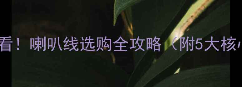 图片 🔥汽车音响改装必看！喇叭线选购全攻略（附5大核心指标+避坑指南）