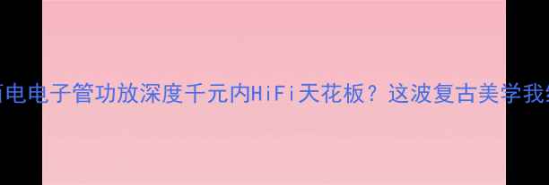 图片 🔥美国西电电子管功放深度千元内HiFi天花板？这波复古美学我给跪了！