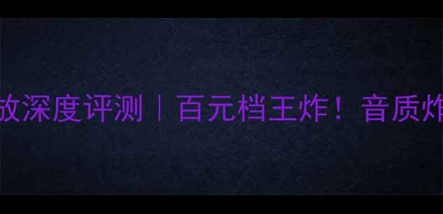 图片 🔥贵丰2100功放深度评测｜百元档王炸！音质炸裂的HiFi新宠