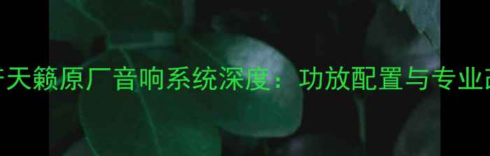 图片 08款日产天籁原厂音响系统深度：功放配置与专业改装方案