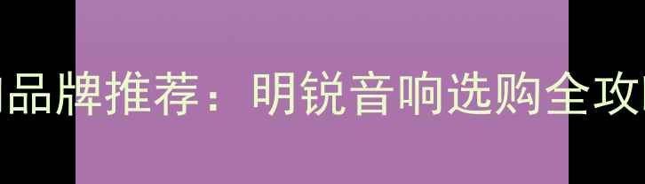 图片 10款高性价比音响品牌推荐：明锐音响选购全攻略（附避坑指南）