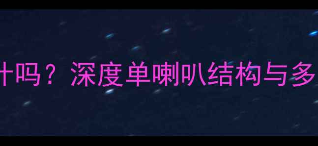 图片 11PM音响是单喇叭设计吗？深度单喇叭结构与多单元系统的音质差异1
