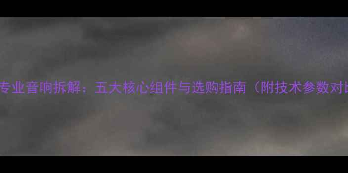图片 12寸专业音响拆解：五大核心组件与选购指南（附技术参数对比）1