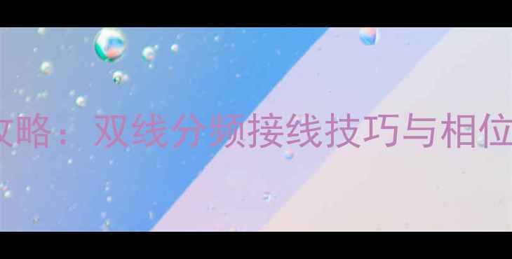 图片 12寸低音炮双喇叭接线全攻略：双线分频接线技巧与相位调整指南（附避坑指南）1