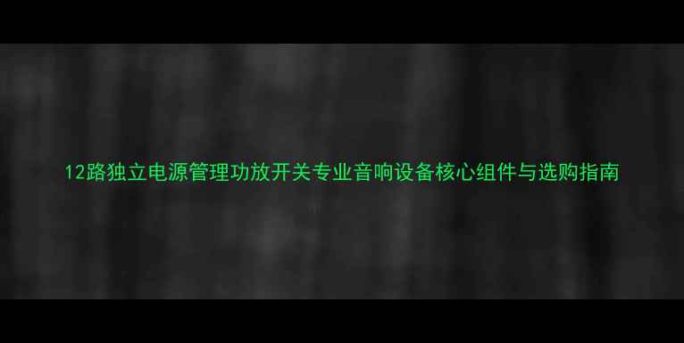 图片 12路独立电源管理功放开关专业音响设备核心组件与选购指南