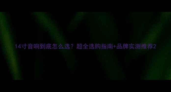 图片 14寸音响到底怎么选？超全选购指南+品牌实测推荐2