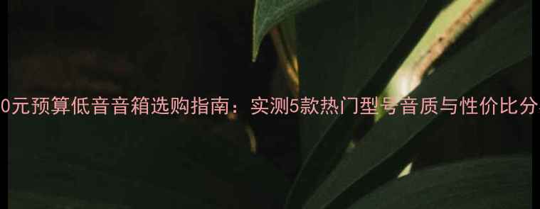 图片 1500元预算低音音箱选购指南：实测5款热门型号音质与性价比分析1