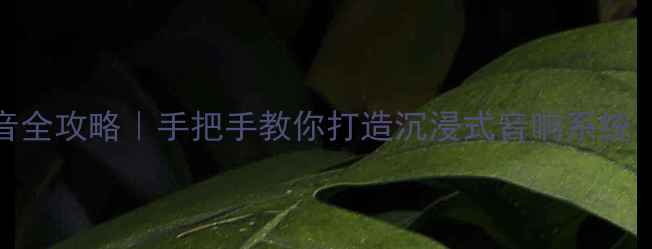 图片 15款天籁功放调音全攻略｜手把手教你打造沉浸式音响系统（附保姆级步骤）