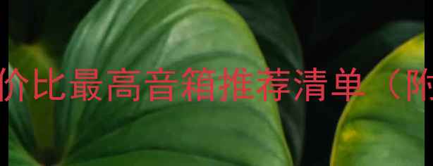 图片 2000元内性价比最高音箱推荐清单（附避坑指南）