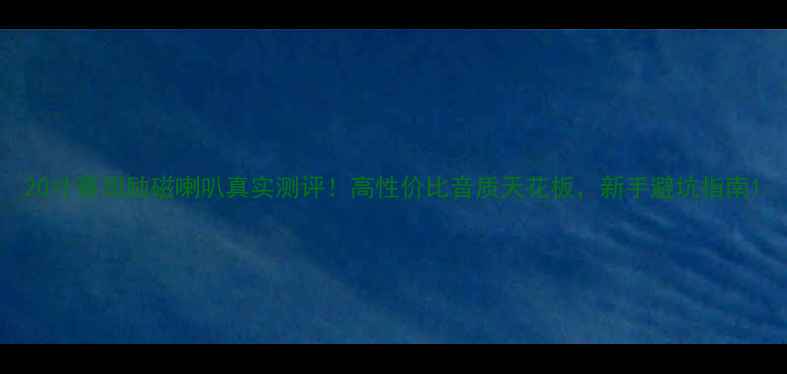 图片 20寸蔡司励磁喇叭真实测评！高性价比音质天花板，新手避坑指南1