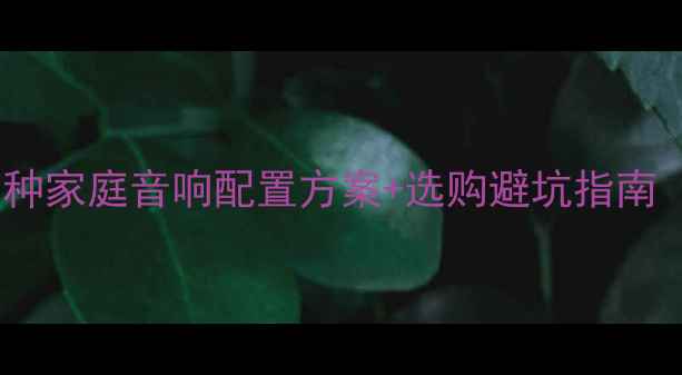 图片 300W喇叭怎么选？5种家庭音响配置方案+选购避坑指南（附实测音质对比）