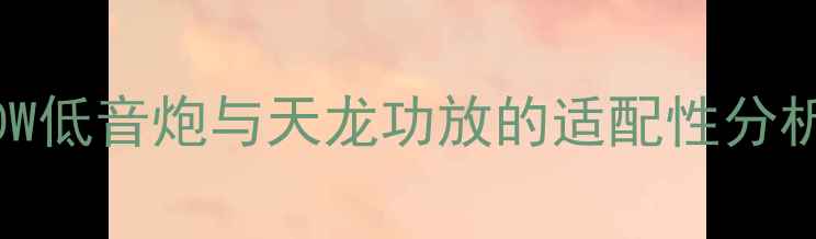 图片 30W低音炮与天龙功放的适配性分析2