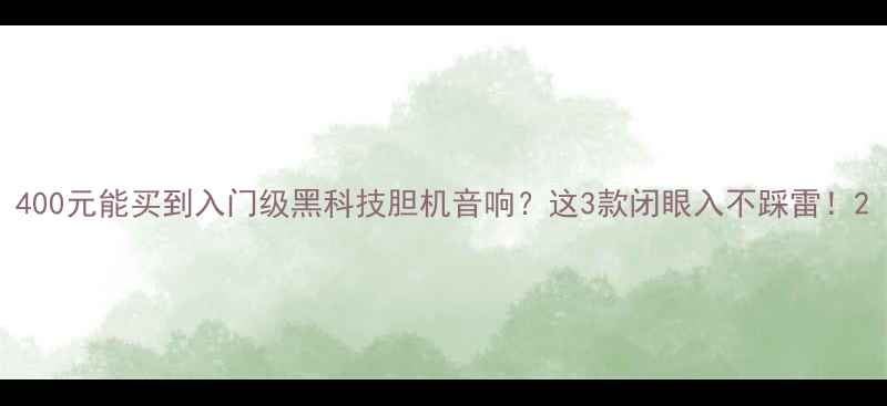 图片 400元能买到入门级黑科技胆机音响？这3款闭眼入不踩雷！2