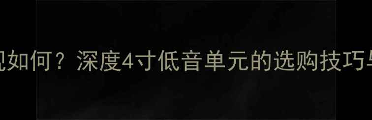 图片 4寸喇叭低音表现如何？深度4寸低音单元的选购技巧与音质提升方案1