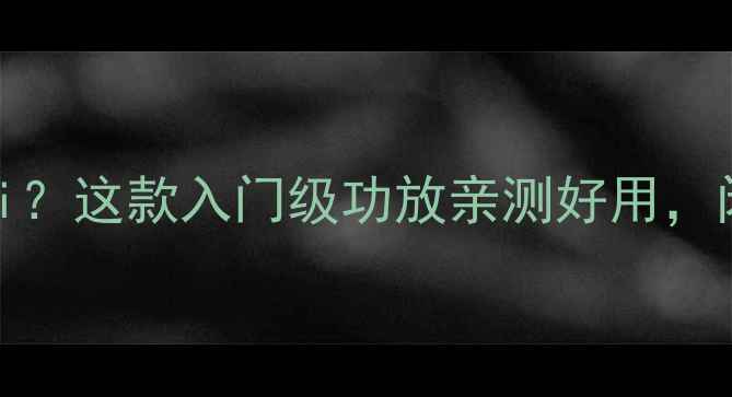 图片 500元也能听HiFi？这款入门级功放亲测好用，闭眼入不踩雷！2