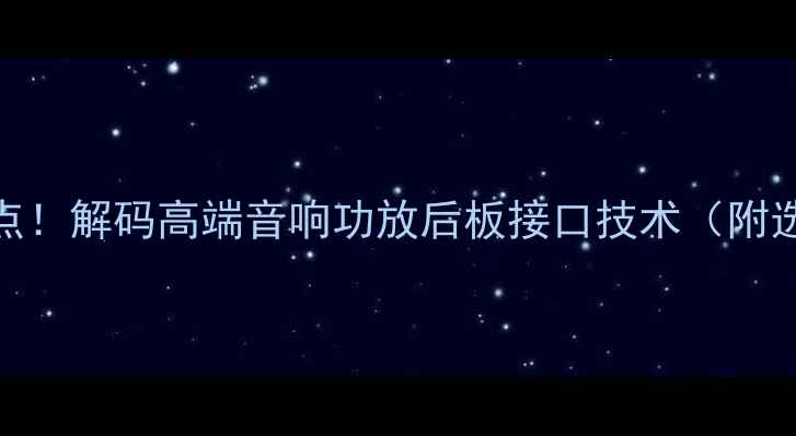 图片 5大必看要点！解码高端音响功放后板接口技术（附选购指南）2