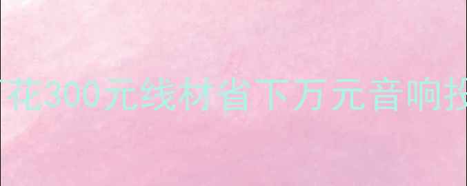 图片 5大损耗公式+选购避坑指南如何花300元线材省下万元音响投入？手把手教你算清每米成本2