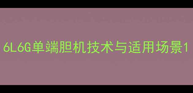 图片 6L6G单端胆机技术与适用场景1