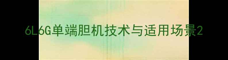 图片 6L6G单端胆机技术与适用场景2