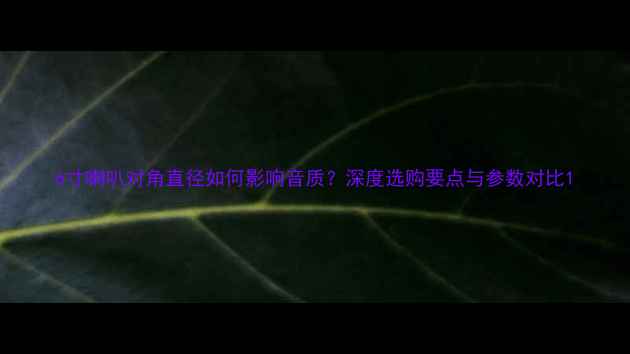 图片 6寸喇叭对角直径如何影响音质？深度选购要点与参数对比1