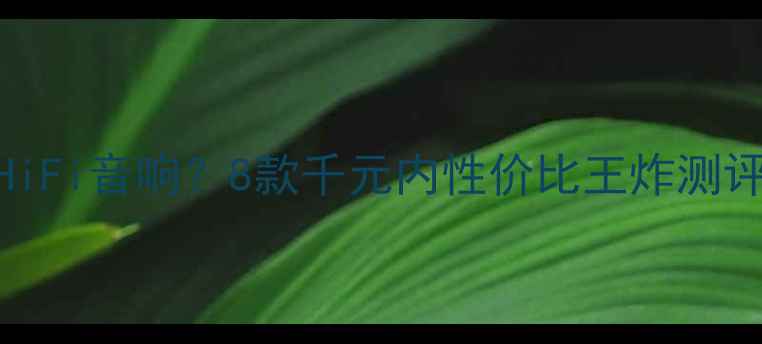 图片 800元预算如何选HiFi音响？8款千元内性价比王炸测评（附避坑指南）2