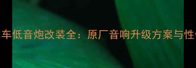 图片 9代雅阁原车低音炮改装全：原厂音响升级方案与性价比之选2