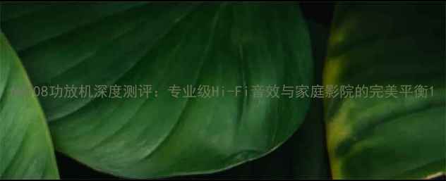 图片 AM808功放机深度测评：专业级Hi-Fi音效与家庭影院的完美平衡1