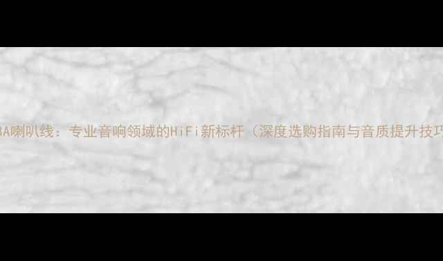 图片 AN-BA喇叭线：专业音响领域的HiFi新标杆（深度选购指南与音质提升技巧）2
