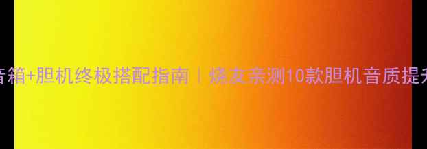 图片 ATC19音箱+胆机终极搭配指南｜烧友亲测10款胆机音质提升实测2