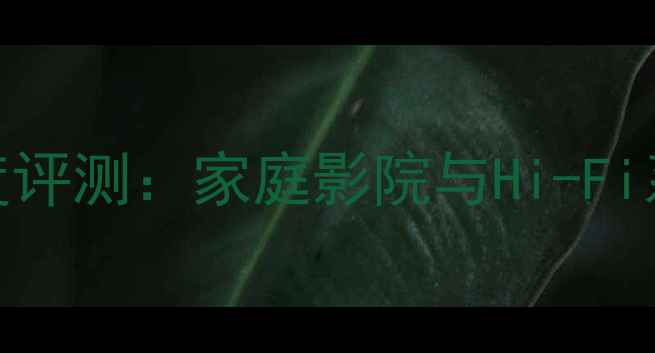 图片 ATI1800功放深度评测：家庭影院与Hi-Fi系统的全能旗舰2