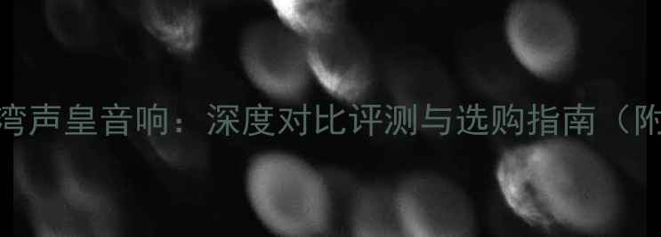 图片 BMB音响vs台湾声皇音响：深度对比评测与选购指南（附详细参数）2