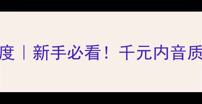 图片 BOM06前级功放深度｜新手必看！千元内音质天花板如何炼成1