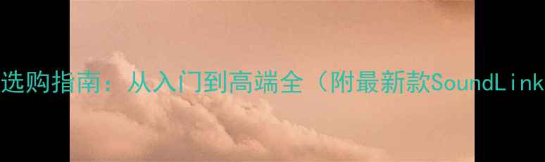 图片 Bose音响型号选购指南：从入门到高端全（附最新款SoundLinkFlex2实测）1