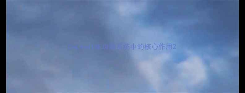 图片 ChLevel在功放系统中的核心作用2