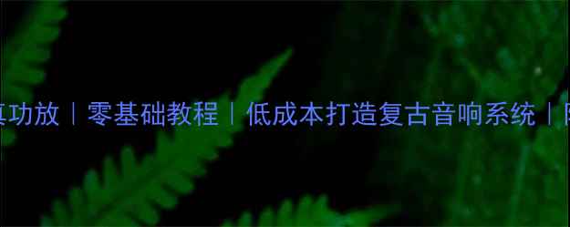 图片 DIY音乐传真功放｜零基础教程｜低成本打造复古音响系统｜附详细图解2