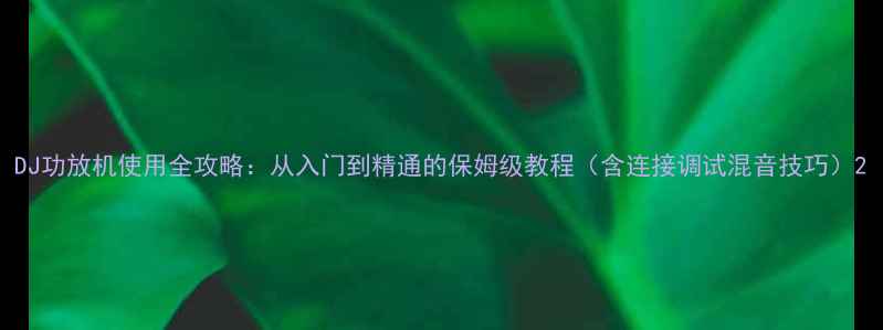 图片 DJ功放机使用全攻略：从入门到精通的保姆级教程（含连接调试混音技巧）2