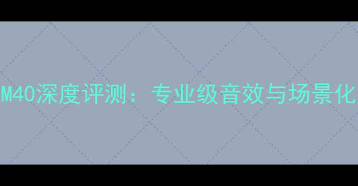 图片 DLS功放XM40深度评测：专业级音效与场景化应用指南