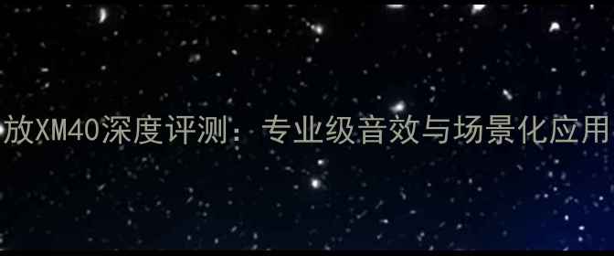 图片 DLS功放XM40深度评测：专业级音效与场景化应用指南2