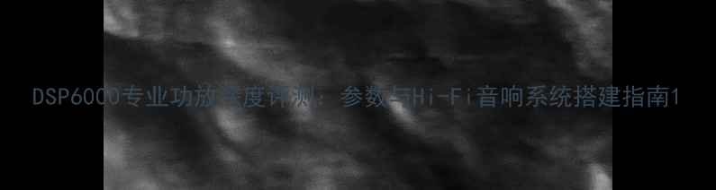 图片 DSP6000专业功放深度评测：参数与Hi-Fi音响系统搭建指南1