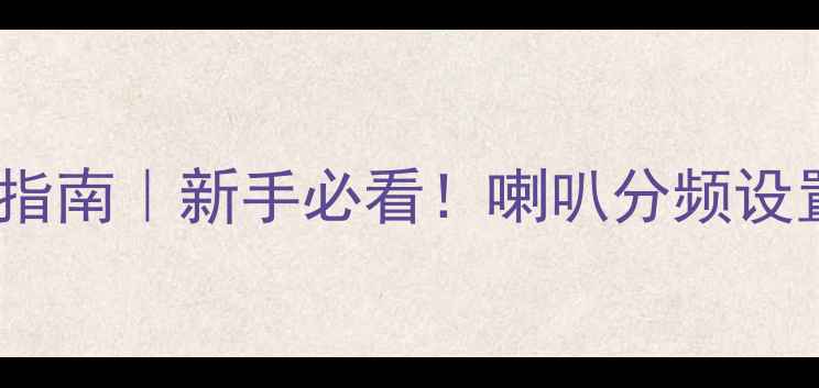 图片 DSP分频调音指南｜新手必看！喇叭分频设置全攻略🔊🎶