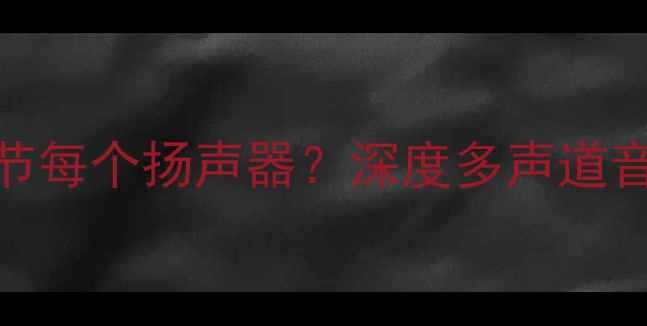 图片 DSP系统能否独立调节每个扬声器？深度多声道音响的精准控制技术1