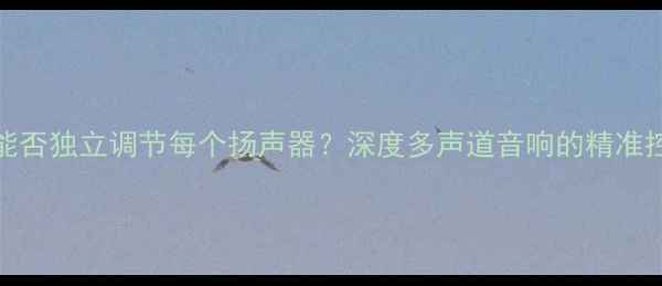 图片 DSP系统能否独立调节每个扬声器？深度多声道音响的精准控制技术2