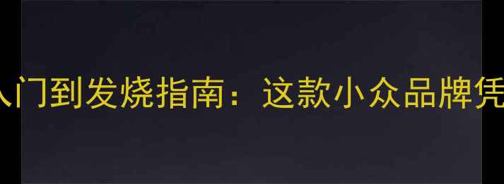 图片 DS音响品牌深度从入门到发烧指南：这款小众品牌凭啥收割高端市场？2