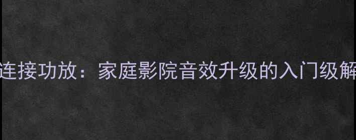 图片 DVD同轴连接功放：家庭影院音效升级的入门级解决方案2
