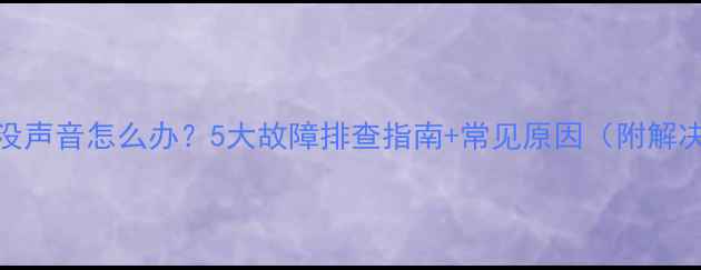 图片 DVD音响没声音怎么办？5大故障排查指南+常见原因（附解决方法）1