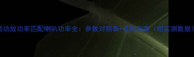 图片 D类功放功率匹配喇叭功率全：参数对照表+选购指南（附实测数据）1