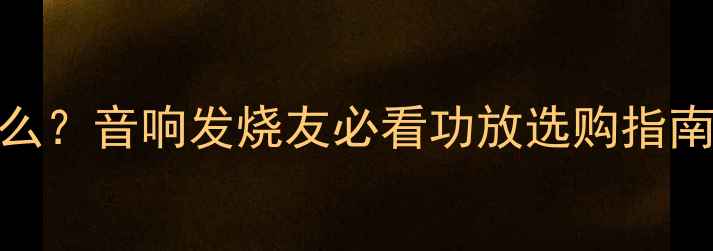 图片 D类功放是什么？音响发烧友必看功放选购指南与品牌推荐1