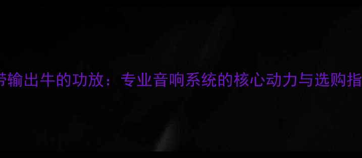 图片 EV带输出牛的功放：专业音响系统的核心动力与选购指南1