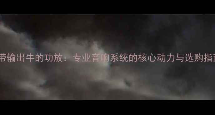 图片 EV带输出牛的功放：专业音响系统的核心动力与选购指南2